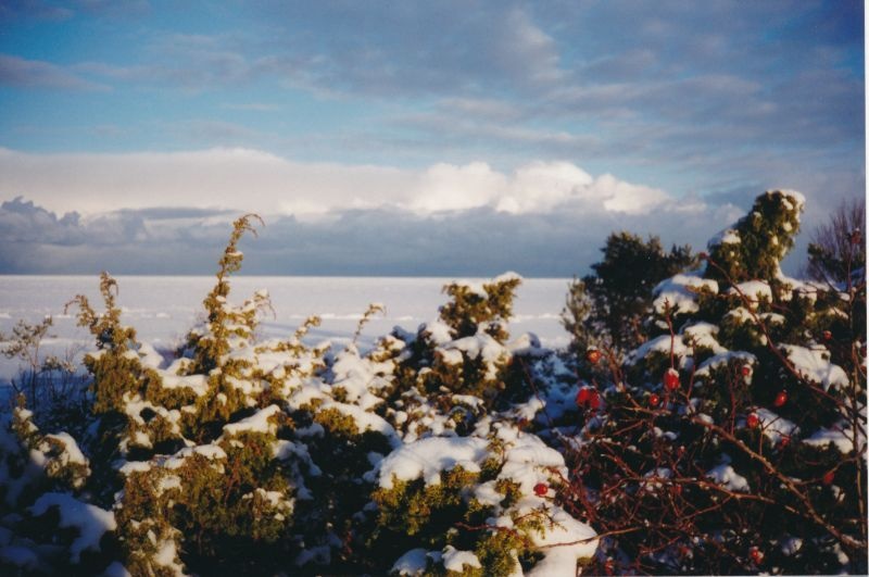 Postkaart. Lääne Telefonivõrgu ja Lääne-Eesti sidemuuseumi õnnitluskaart Läänemaa muuseumile jõuludeks ja uueks aastaks 1996/1997