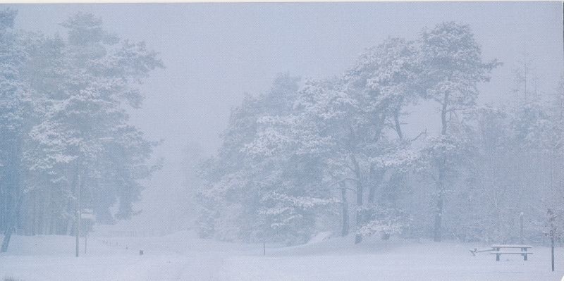 Postkaart. Lääne Elu õnnitluskaart Läänemaa muuseumile jõuludeks ja uueks aastaks 1996/1997