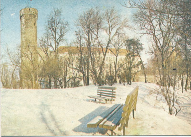 Postkaart. Uusaasta. ENSV Riiklik Loodusmuuseum. 1981.