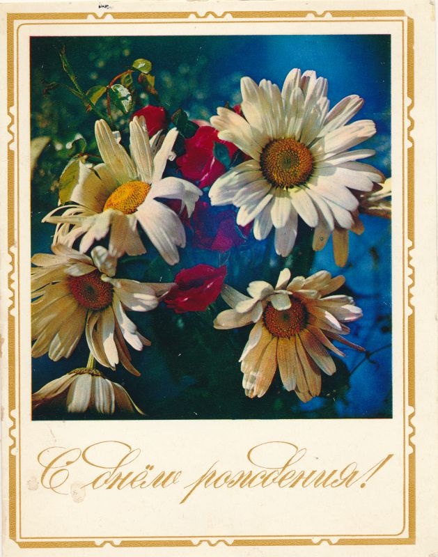 Postkaart Lilled - Karikakrad 1974