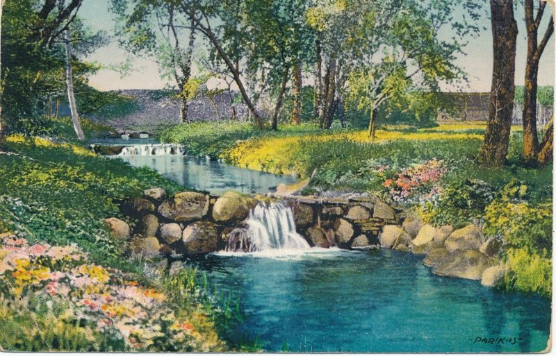 Postkaart. Eesti maastik. Parikas.1925.