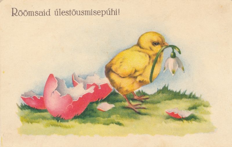 Postkaart. Lihavõtted.