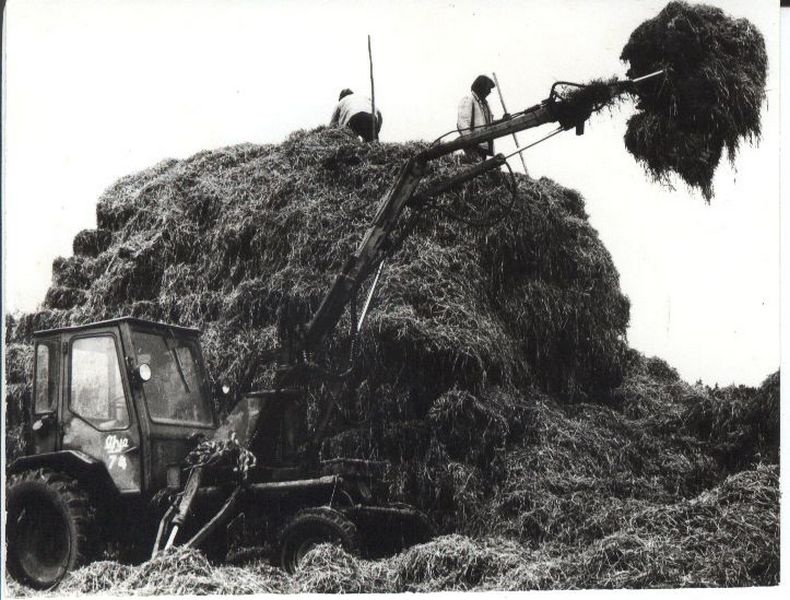 Traktor põhku virnastamas