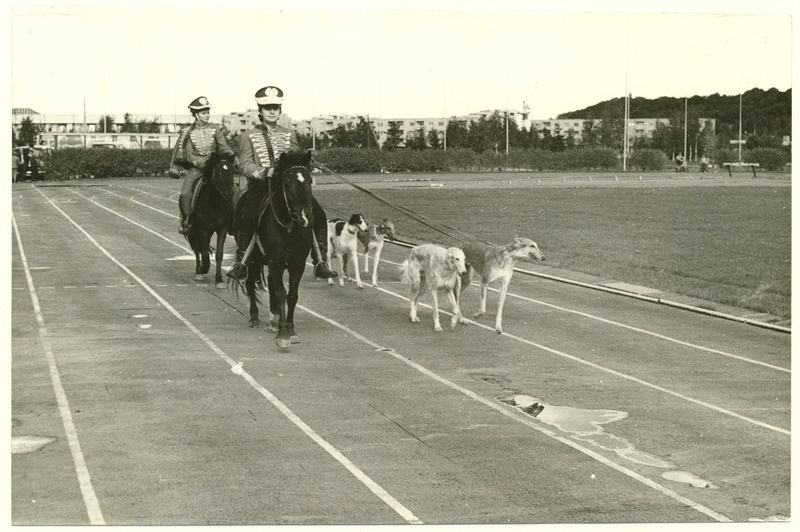 Kirovi NKK staadionil 1.09.1986 Moskva koerteklubi show. Koerte demonstrartsioon.