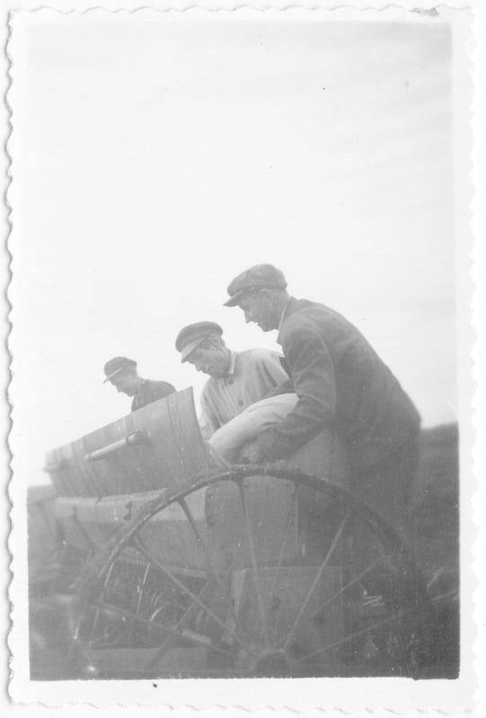 Kevadkülv kolhoosis "Ühisjõud" 1954.a.