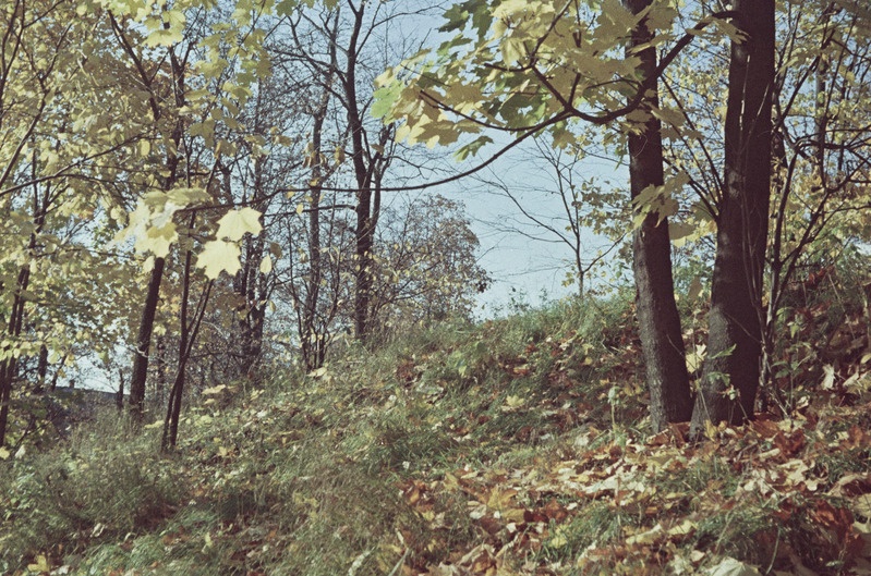 Tartu linna vaated. Toomemägi, Emajõe-äärne. 1954. a.