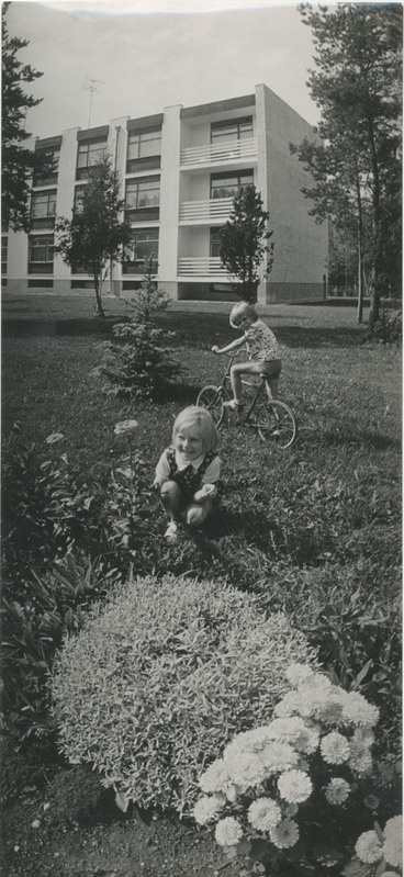 Foto. Uuselamu Edasi kolhoosis.