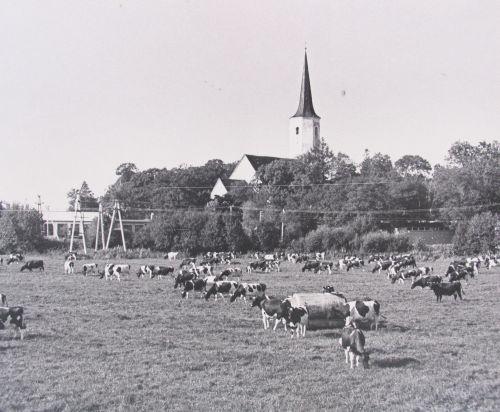 Rakvere raj. Haljala kolhoos