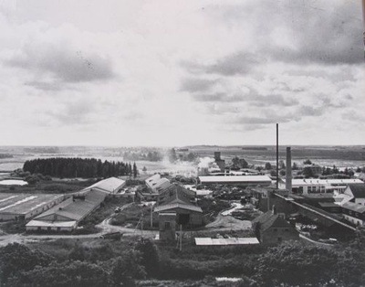 Rakvere raj. Haljala kolhoos  duplicate photo