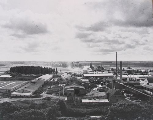 Rakvere raj. Haljala kolhoos