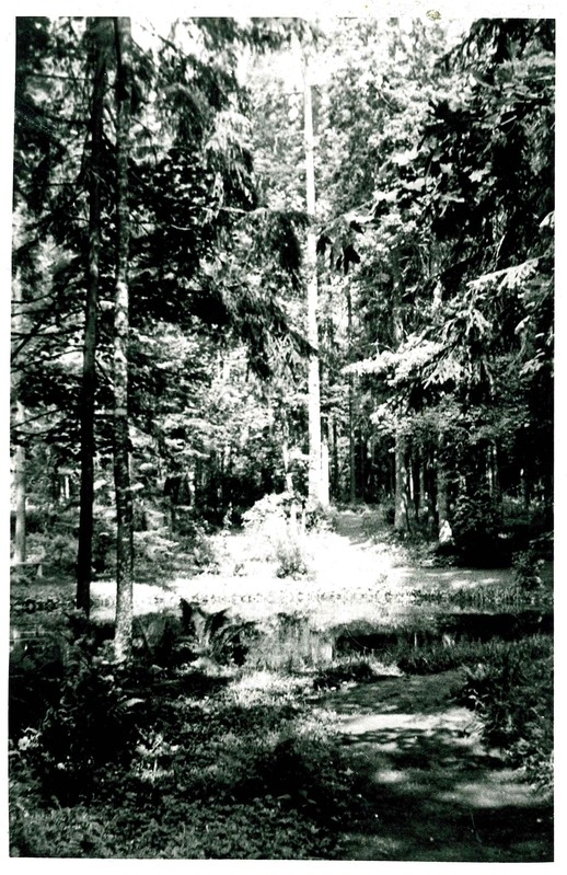 Sangaste mõisa dendropark