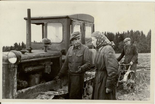 foto, puhaskesa künd Õiguse Võidu kolhoosis 1953.a.