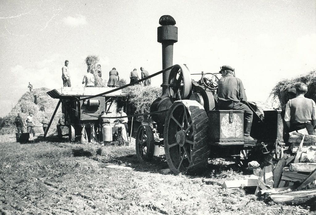 Foto. Viljapeks  Võrumaal Akadeemik Viljamsi nim. kolhoosis  sõduritest šeffide abiga 1949.a. sügisel.