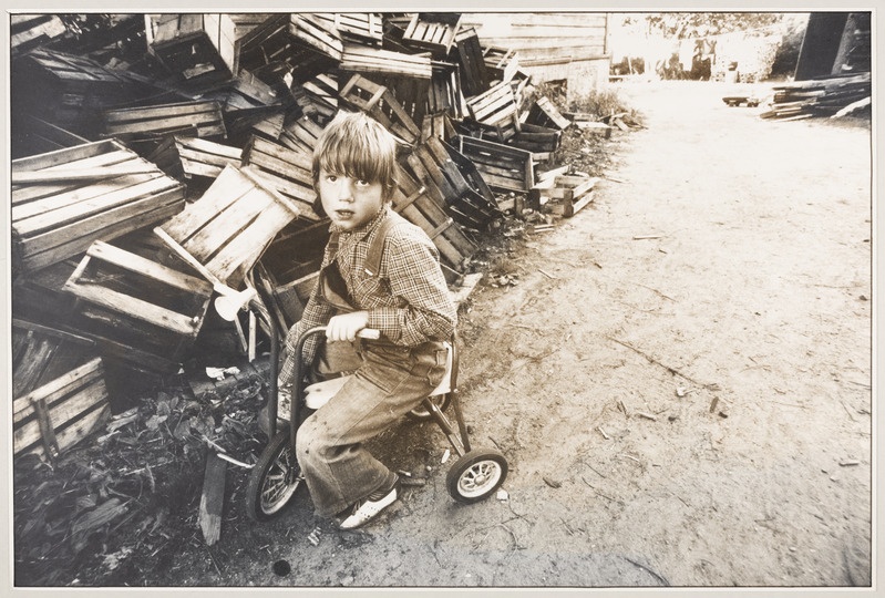 Poisike lõhutud puukastide juures