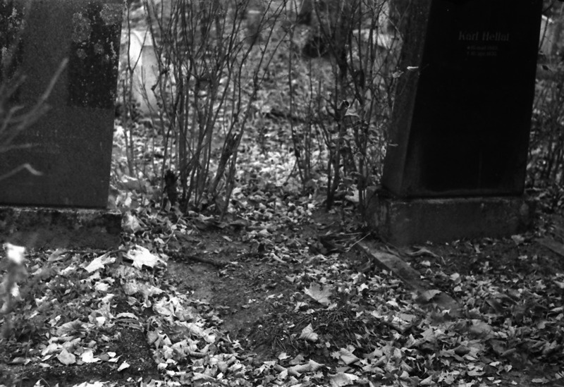 M. Miller Sangaste surnuaial P. Hallati hauda näitamas.