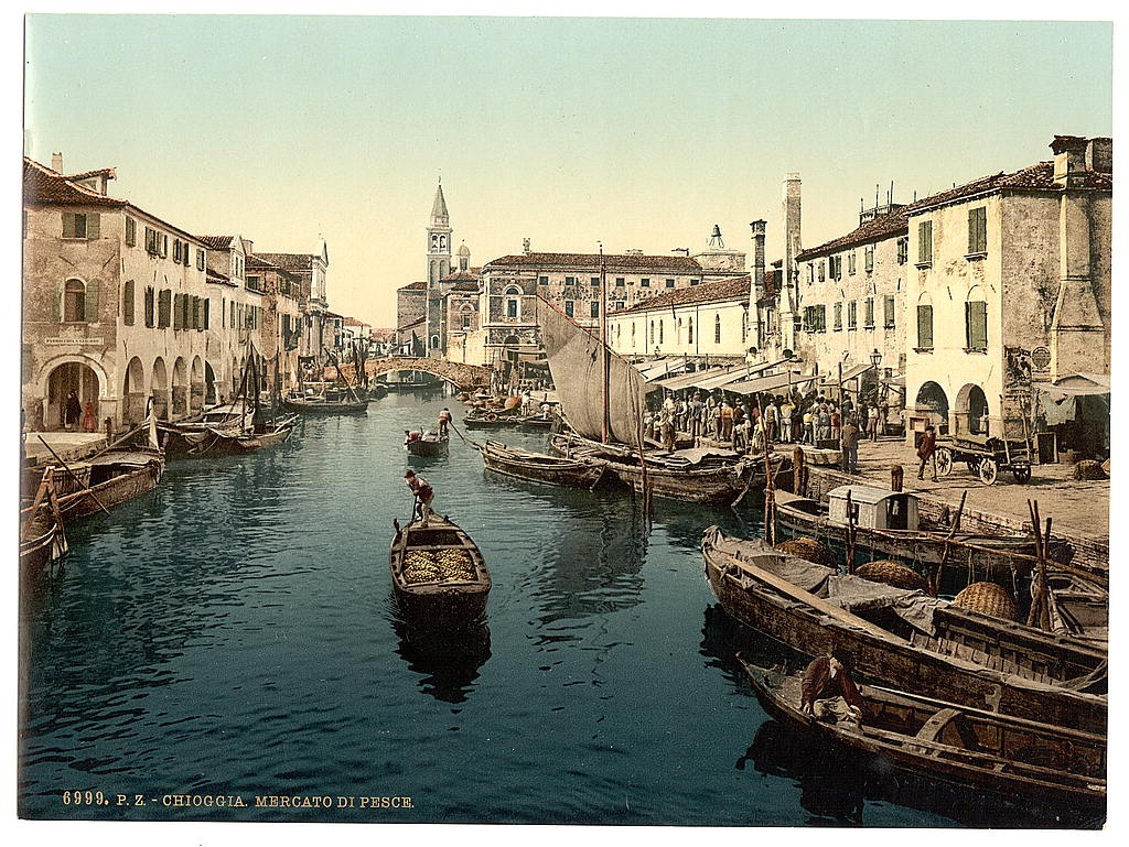 [chioggia, fish market, Venice, Italy] (Loc)