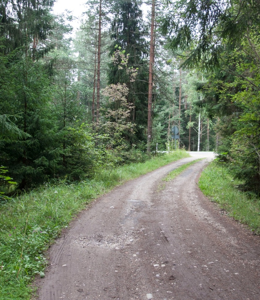 III metsajooks Sakala teel. Stardi eel Vanaõuel. rephoto