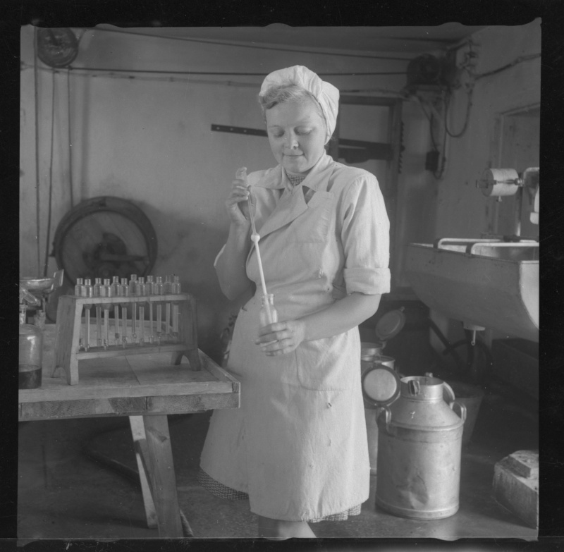 Tööline katseklaasidega