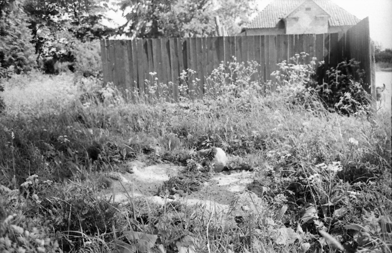 Vaade Jaak Schneideri hauale Viljandis Viiratsi kalmistul.