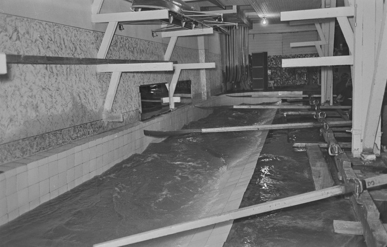 Tartu ülikooli paadisadam. 6. aprill 1959. a.