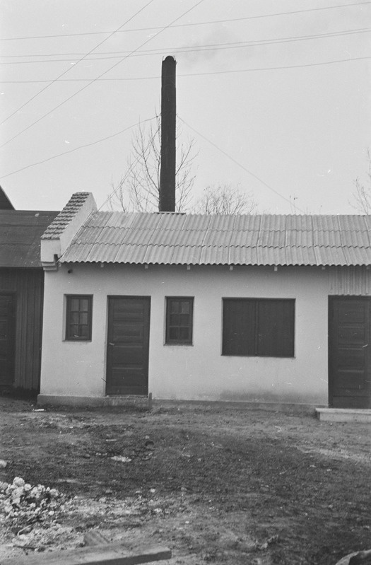 Tartu ülikooli paadisadam. 6. aprill 1959. a.