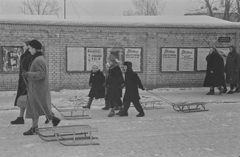 Tartu ülikooli ametiühingu komitee üritused lastele. Vastlapäev. Kelgutamine, saanisõit. Veebruar 1960. a.