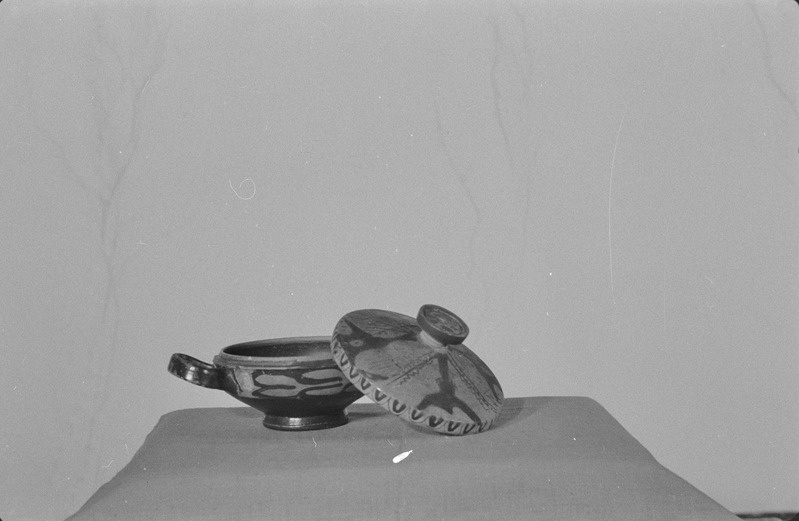 TRÜ Klassikalise Muinasteaduse Muuseum. Vaasid. 2. veebruar 1957. a.