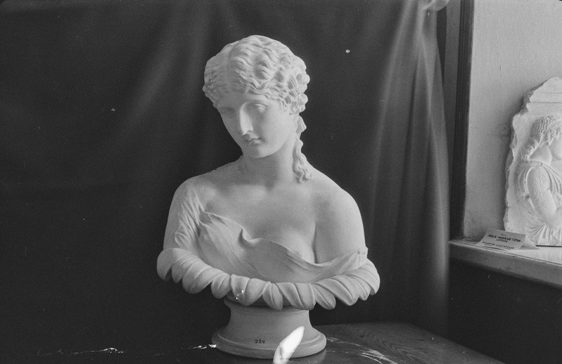 TRÜ Klassikalise Muinasteaduse Muuseum. Kujud. N. Raid. 2. märts 1957. a.