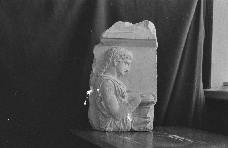 TRÜ Klassikalise Muinasteaduse Muuseum. Kujud. N. Raid. 2. märts 1957. a.