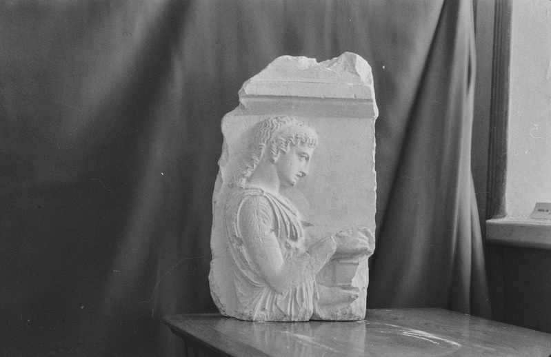 TRÜ Klassikalise Muinasteaduse Muuseum. Kujud. N. Raid. 2. märts 1957. a.