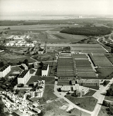 Õhuvaade Viimsile: Pirita lillekasvatussovhoosi aiand ja peahoone (Nelgi 1). Arhitekt Rein Heiduk  similar photo
