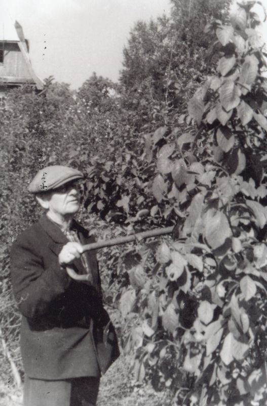 Aleksander Kurvits aias.