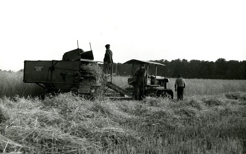 Teraviljakombain Allis Chalmers koos sama firma roomiktraktoriga Jõgeva Sordikasvanduses