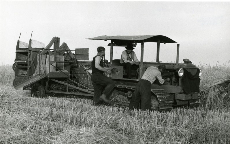 Rukkikoristus kombainiga Allis Chalmers Jõgeva Sordikasvanduses