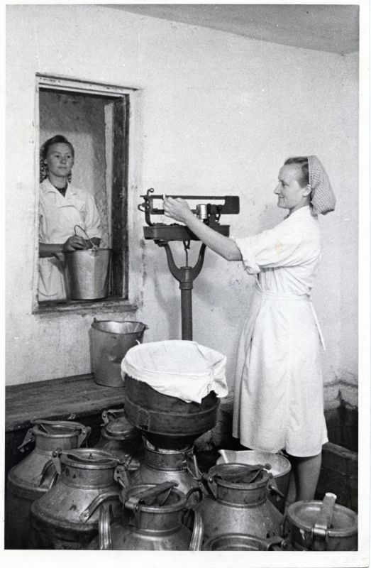 Brigadiri abi kommunistlik noor Agnes Keskküla (paremal) noorelt lüpsjalt Palmi Kurgpõllult piima vastu võtmas.