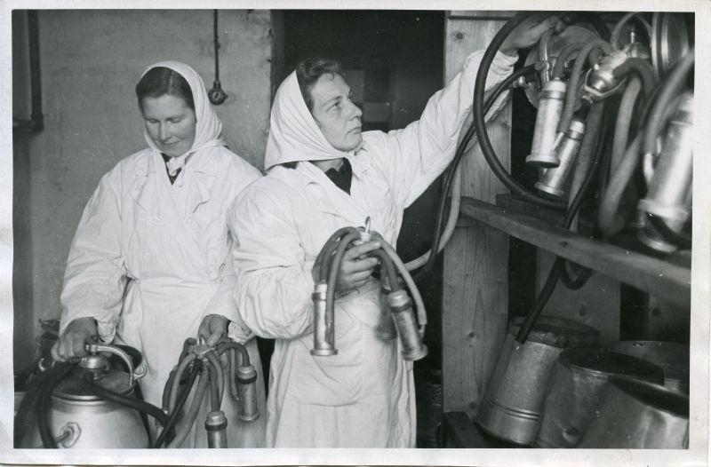 Eesrindlikud lüpsjad L. Nahkur (vasakul) ja L. Jalakas.