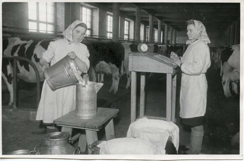 A. Sommerlingi sovhoosi parim lüpsja Magda Orn (vasakul) ja brigadir Maimu Kuldkepp.