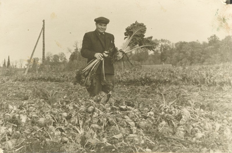 A.Sommerlingi nim. sovhoosi osakonnajuhataja Viljak