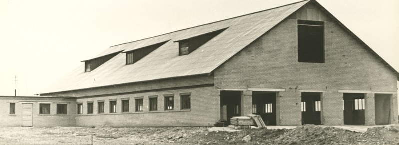 "Viisnurga" kolhoosi uus karjalaut