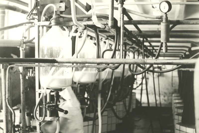 Torusselüpsi agregaadid