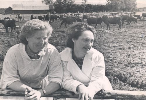 Lüpsjad Virve Saulep ja Maria Aruväli