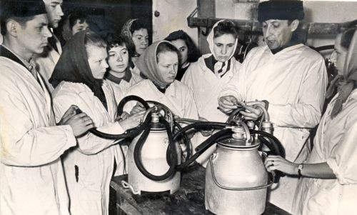 Masinlüpsi õpetamine Kuremaa Zootehnikumis