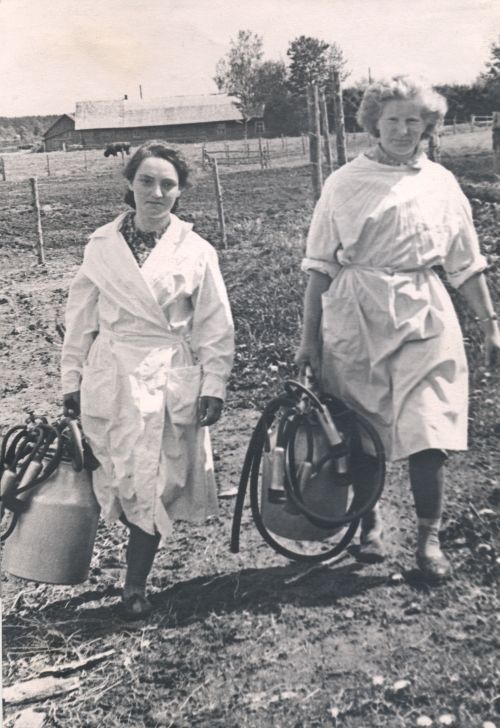 Lüpsjad kannulüpsimasinatega