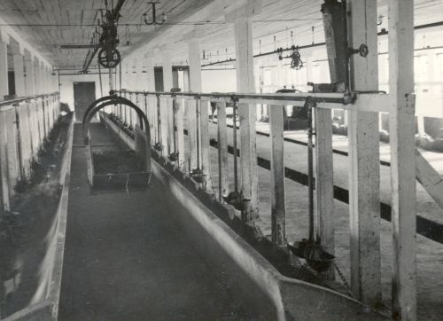 Neljarealine veiselaut