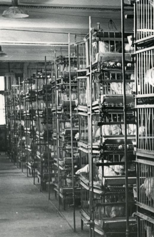 Tallinna Linnuvabriku vanad käsitsiteenindatavad puurid puuritsehhis