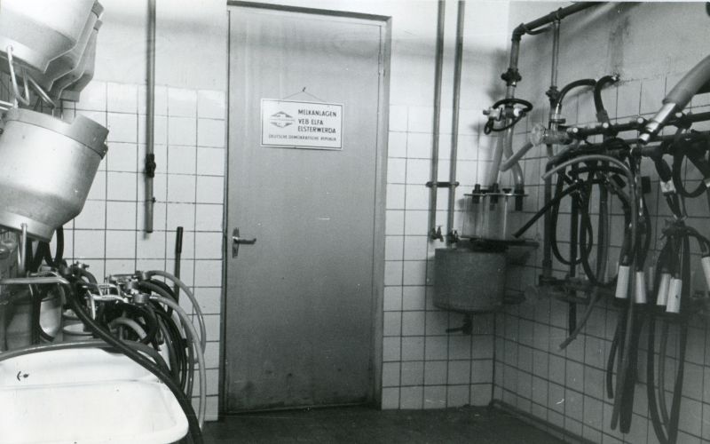 Kolhoosi "Rahva Võit" Nabala veiselauda piimaruum