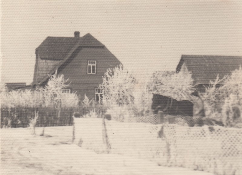 Võnnu talvine vaade