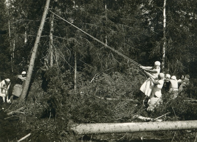 Maaparanduse ja sookultuuri välispraktikum Toomal:naisüliõpilaste rühm puid juurimas