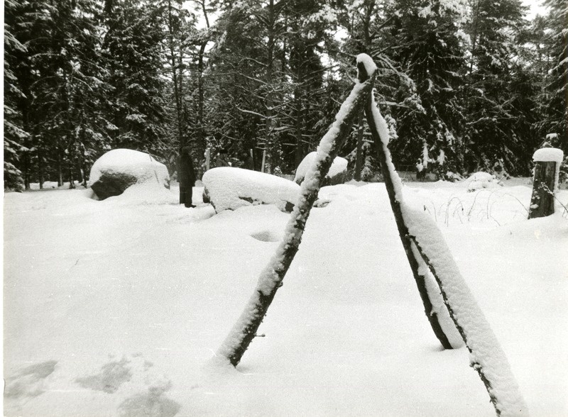 Vigala Sassi (Aleksander Heintalu) loitsuplats