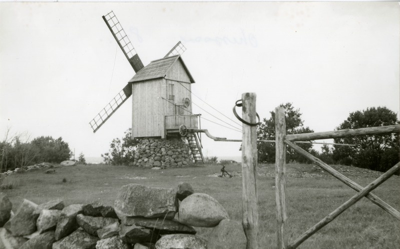 Ohessaare pukktuulik